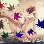 Nowa jesienna paletka od ChiodoPRO „Colors of the Wind”